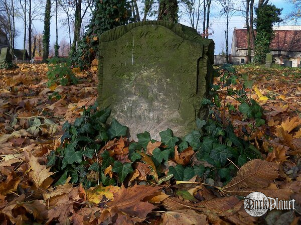 Grave [cmentarze]