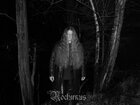 NocturnusGHF