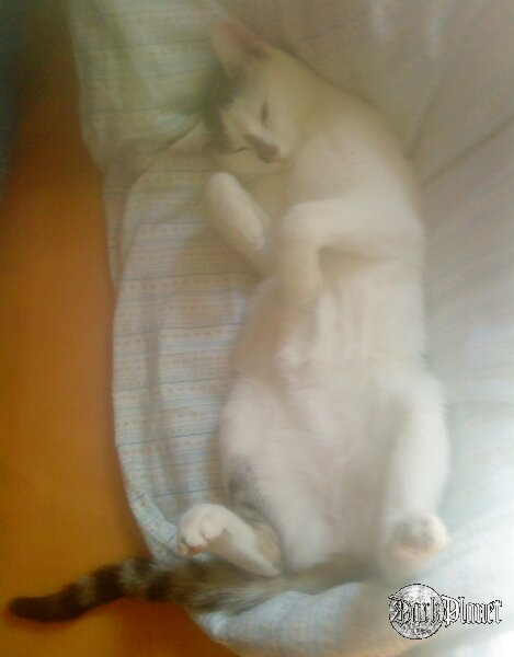 relaks ;p