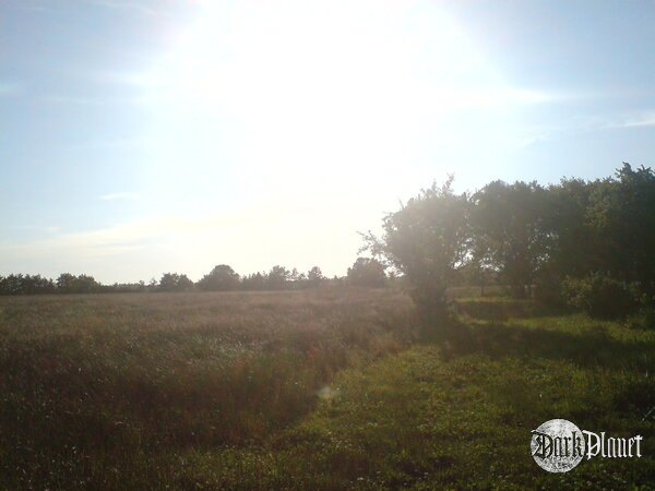 The sun is dying... like always...