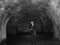 dark cellar2