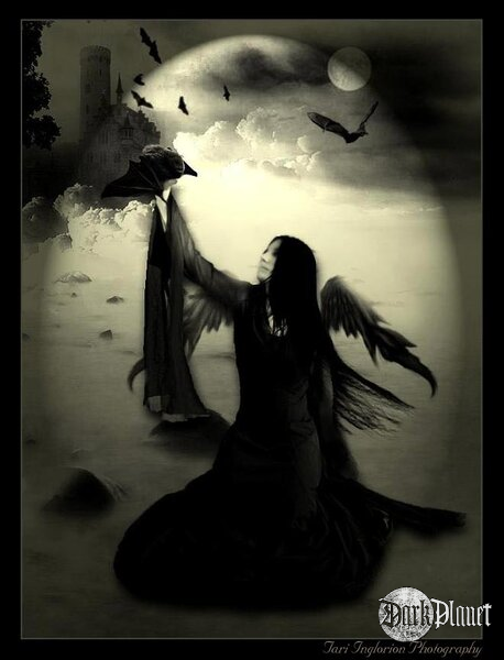 Gothic Bats by TI