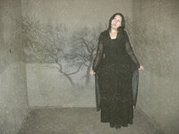 Ilusion of winter