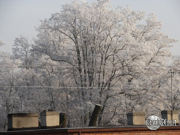 piździ cd5...puszek ;) [Natura]