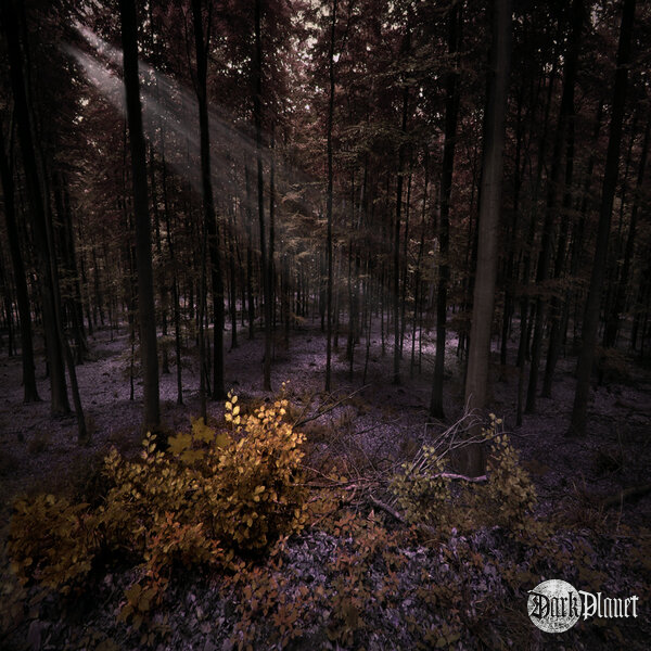AUTUMNAL - inspirowane muzyką Arcana