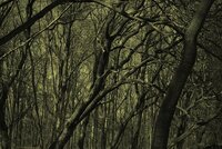 dark...