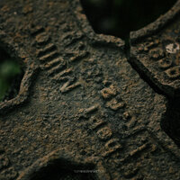 cosel freidhof