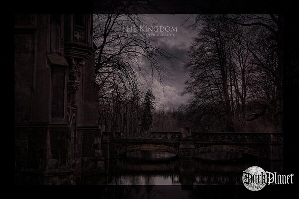 The Kingdom IV