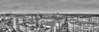 synsytium