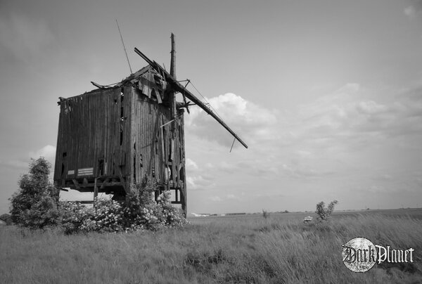 Koźlak - wielkopolska