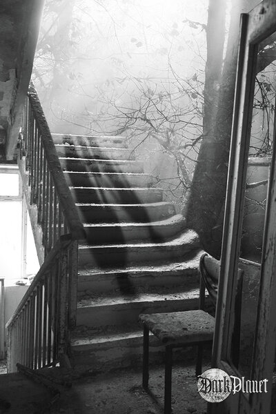 miszaa.tumblr.com
