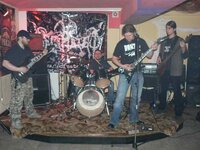 FUCK N ROLL NIGHT FEST