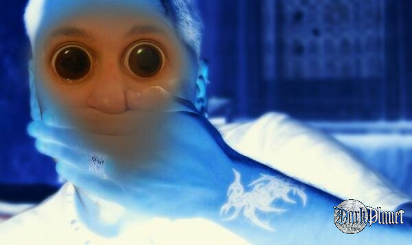 nieb