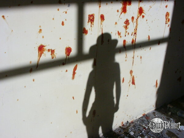Bloody...