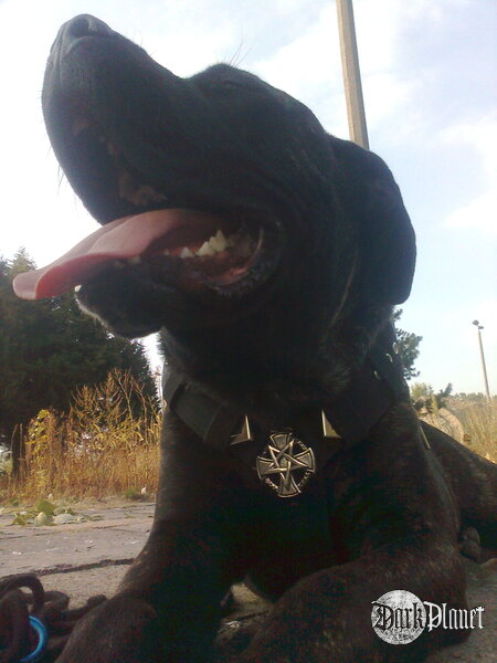 True Black Metal ;) 