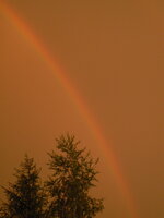 Furia