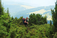 Czarnohora, Karpaty Wschodnie, UA