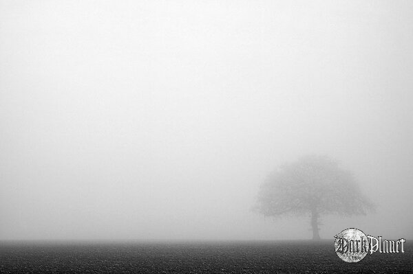 Fog 3