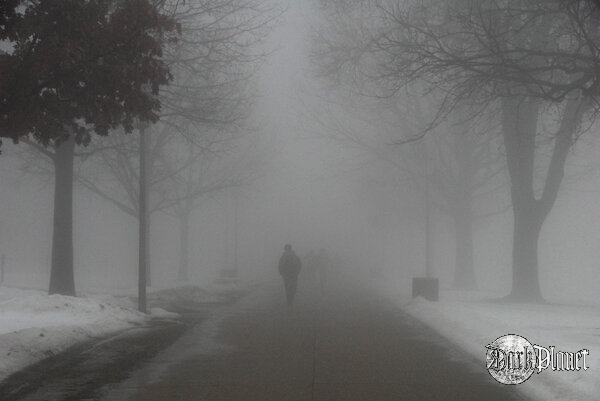 Fog 4