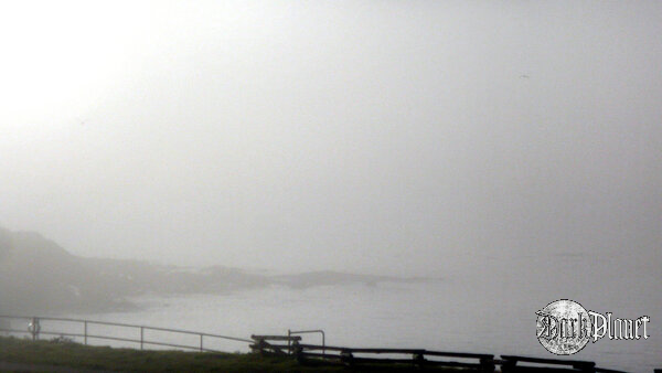Fog 6