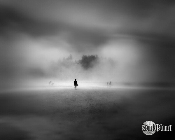 Fog 7