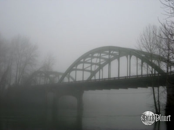 Fog 8