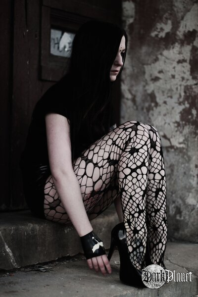 Silver Wolfie/Black Garden/ zespół Shining