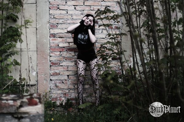 Silver Wolfie/Black Garden/ zespół Shining
