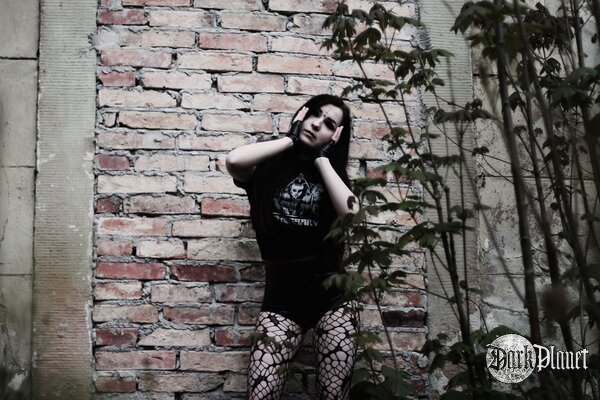 Silver Wolfie/Black Garden/ zespół Shining