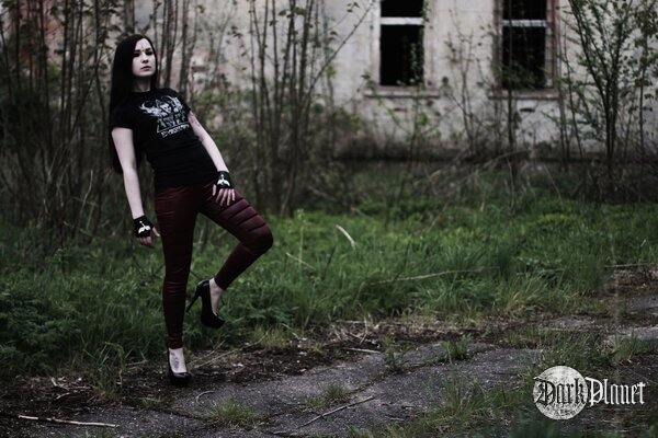 Silver Wolfie/Black Garden/ zespół Shining