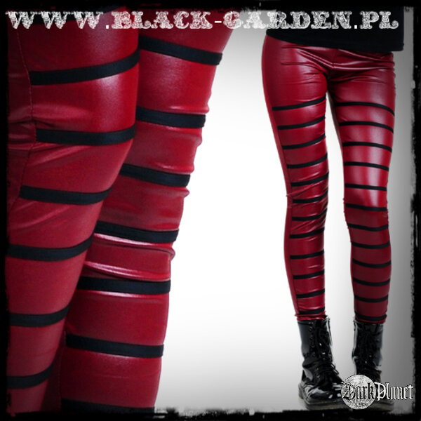 Oferta Black Garden 2014