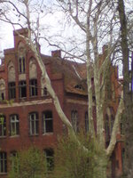 Psychiatryk Owińska3