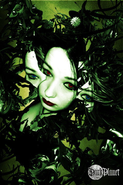 EVILyn vol 2