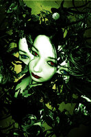 EVILyn vol 2