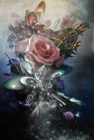 Rose INC