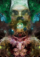 Roots For Sale