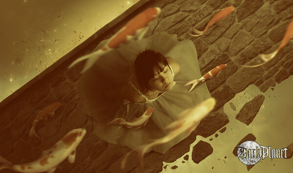 Dreams