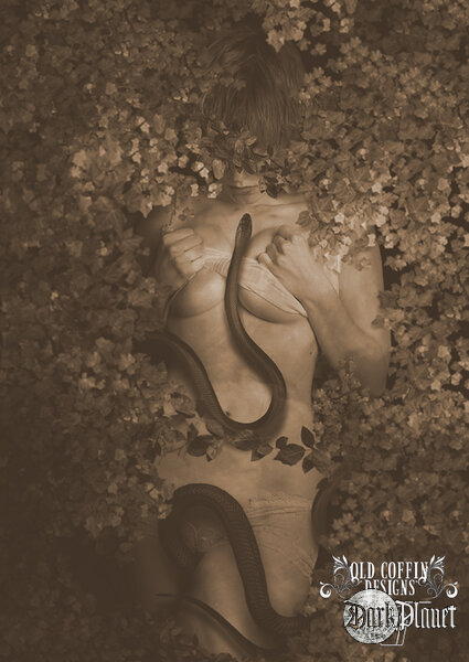 Book Cover for Sale