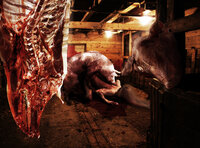Gore