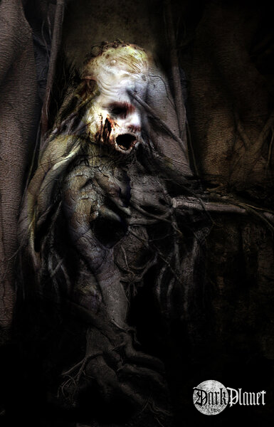Praise Your Nightmares
