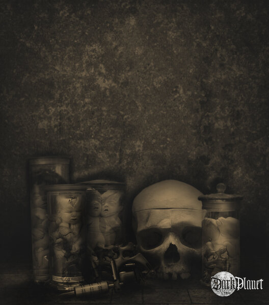 Grafika dla studia Tattoo InkCarnation pod stronę www
