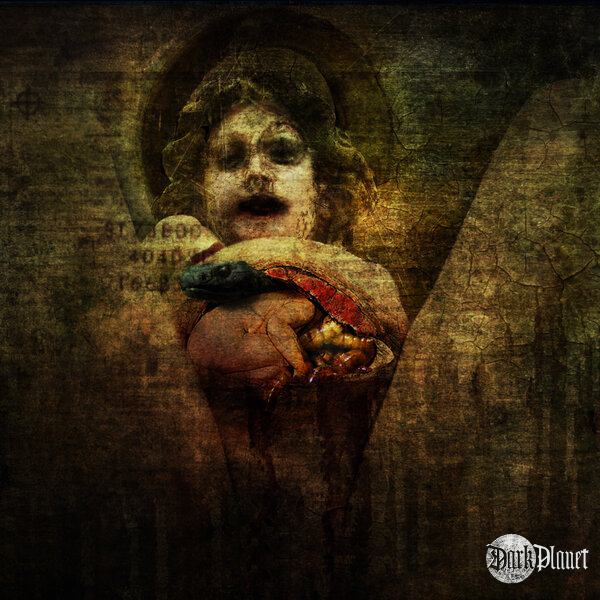 CD COver