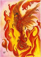 fenix
