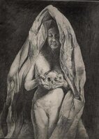 gorgonia