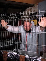 06.03.2009 - Homo Cyberneticus