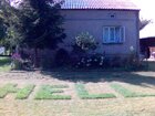 rakieta666