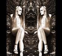 The Mirror