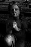        cemeterys
    
    
