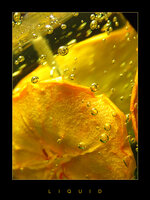Liquid