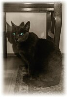 Dzidziorek: "OBEY ME, HUMAN!" ;)